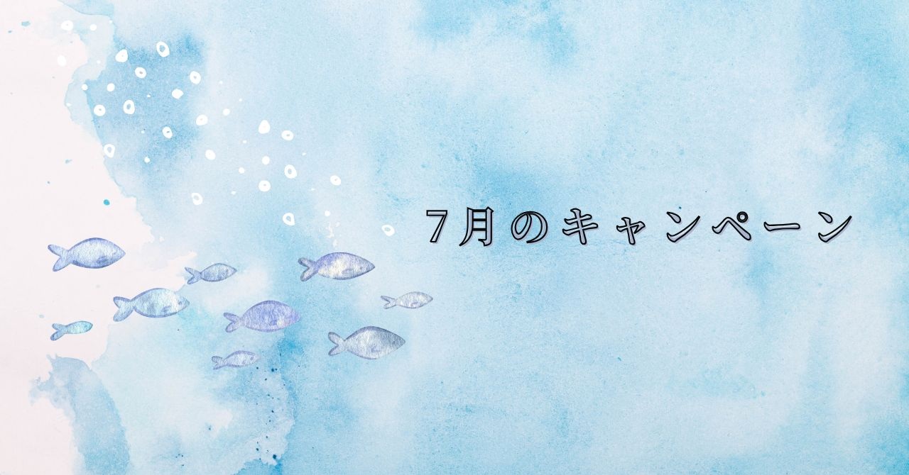 今月のキャンペーン🌟