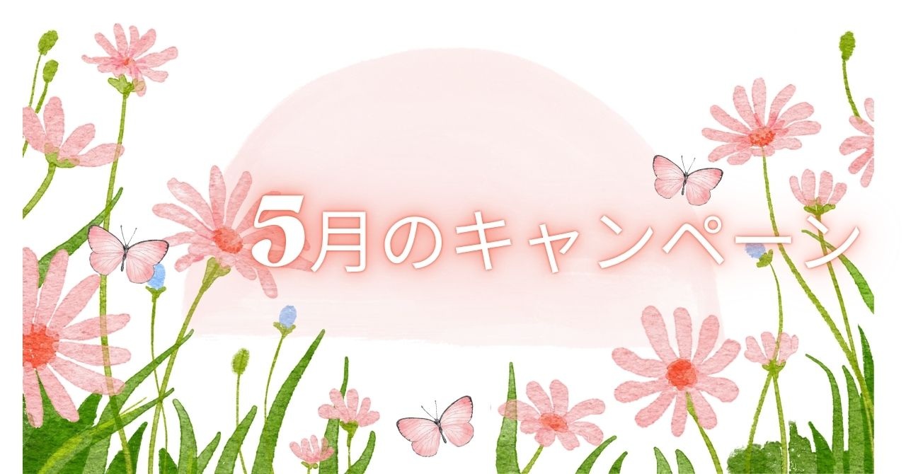 今月のキャンペーン🌟
