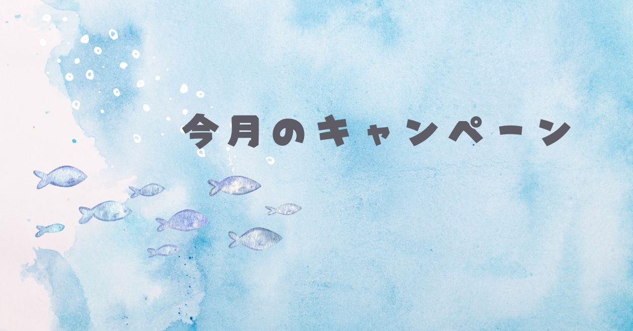 今月のキャンペーン🌟
